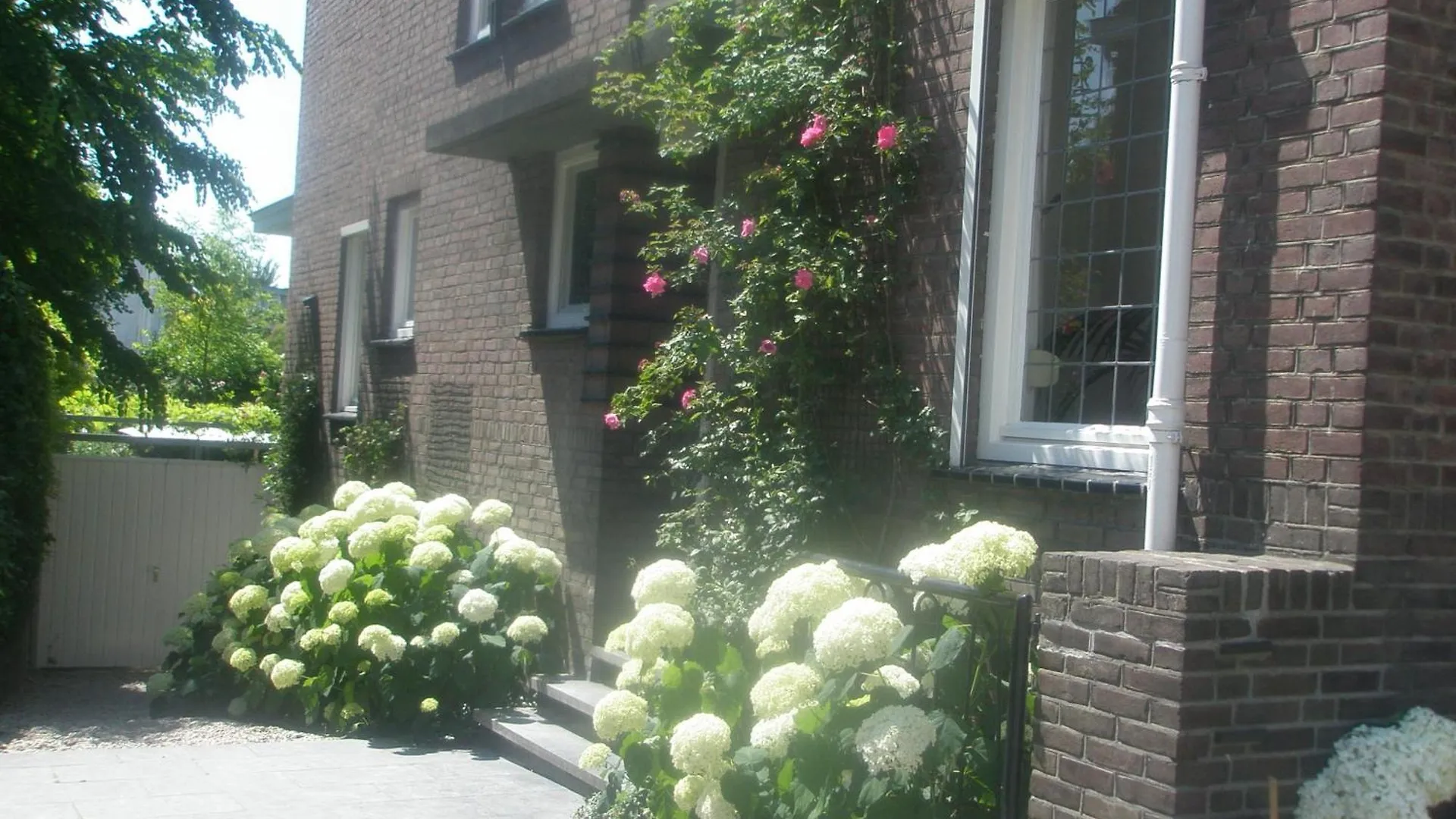 Bed and Breakfast Alberti Bed & Bike Maastricht